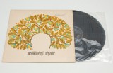 Mezokolpenyi nepzene - disc vinil vinyl LP NOU
