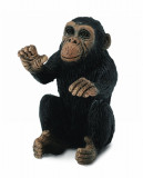 Cimpanzeu Pui - Animal figurina, Collecta