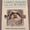 USMLE Images for the Boards: A Comprehensive Image-Based Review, 1st Edition