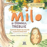 Milo si domnul Trebuie - Monica Mereuta - Didactica Publishing House