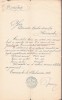 A3777N &Icirc;nștiințare de numirea &icirc;n funcția de forestier, 1907, Caransebeș, Comunitatea de avere a fostului regiment confiniar rom&acirc;no-bănățean Nr 13