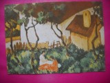 HOPCT 14593 GRADINA DIN VALENI / NICOLAE TONITZA [ 1886-1940] --CP PICTURA -NECIRCULATA