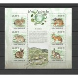 MOZAMBIC 2010 FAUNA ANIMALE SALBATICE IEPURI