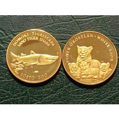 Ungaria 2025 - zoo medal, Nyiregyhaza - rechin/lei