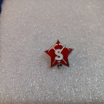 Insigna Santier Galati foto