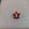 Insigna Santier Galati