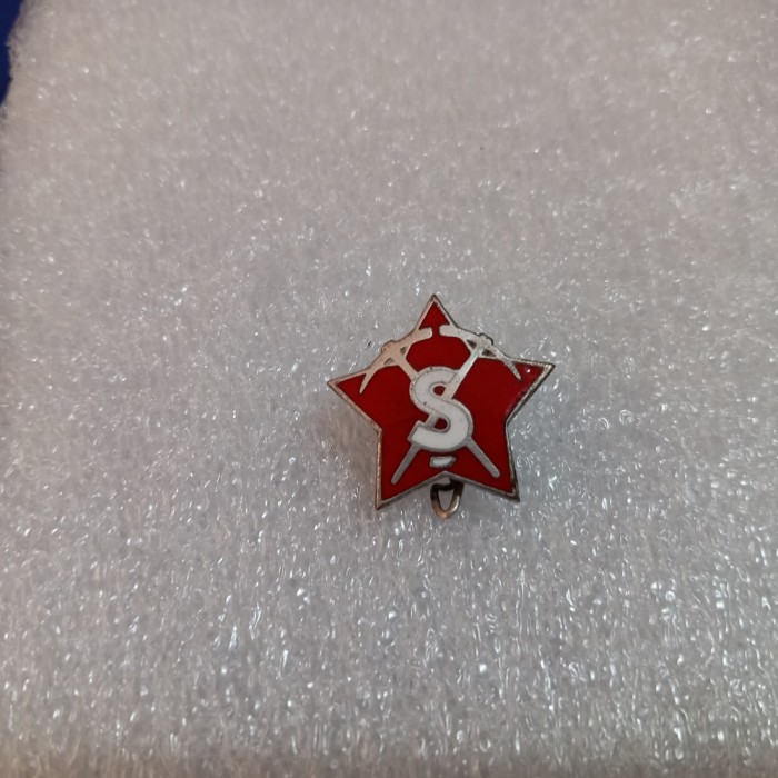 Insigna Santier Galati