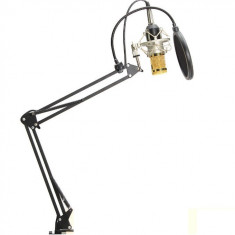 Microfon Profesional de Studio Condenser BM800 cu stand inclus pentru Inregistrare Vocala, Streaming, Gaming, Karaoke