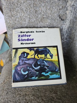Ziffer S&amp;aacute;ndor - Borghida Istv&amp;aacute;n foto
