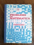 Probleme de matematica pentru gimnaziu - I. Petrica / R3S