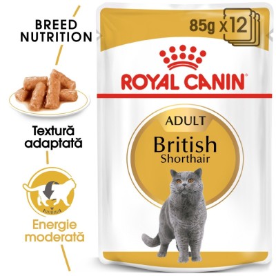 Hrana umeda pisica Royal Canin British Shorthair Adult, in sos, 85 g foto