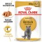 Hrana umeda pisica Royal Canin British Shorthair Adult, in sos, 85 g