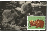 No(2) ilustrata maxima-URS (ursus actos), Romania de la 1950, Oameni