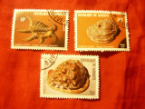 Serie Djibouti 1979 - Fauna Marina , 3 valori stampilate, Stampilat