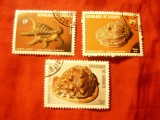 Serie Djibouti 1979 - Fauna Marina , 3 valori stampilate, Stampilat