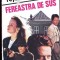 FEREASTRA DE SUS-RAYMOND CHANDLER-259528