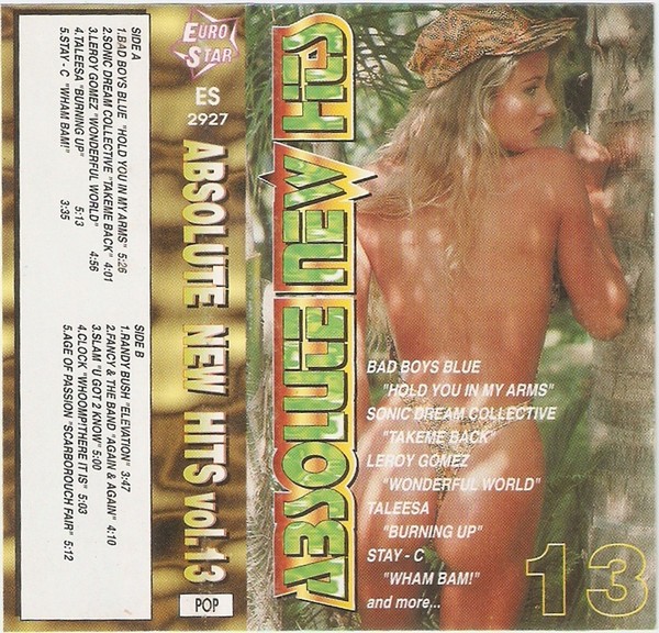 Casetă audio Various &ndash; Absolute New Hits Vol.13