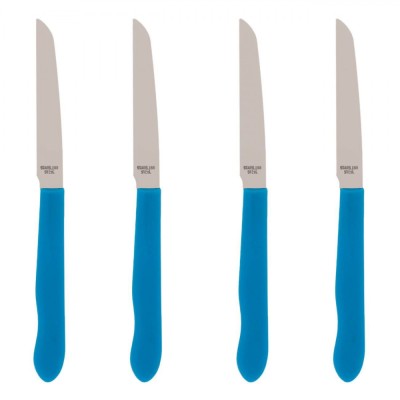 Set Cuțite Bucătărie, Tableware, Inox, M&amp;acirc;nere Albastre, 4 Bucăți foto