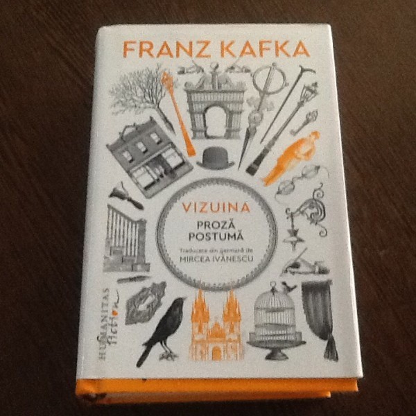 Vizuina. Proza postuma - Franz Kafka