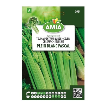 Seminte legume Amia A, telina frunze Blanc Pascal foto