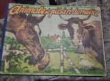 Animale si Pasari Domestice - Carte Copii Educativa 1970, Romana, Coperta Cartonata, Uzata