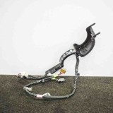 Cablaj ușă dreapta spate TESLA MODEL X 2018 OEM: 1063406-00-F 10038684