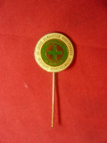 Insigna veche -Crucea Verde - Securitatea Muncii ,traficului , Germania d=2cm