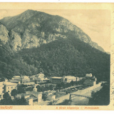 1361 - HERCULANE, Caras-Severin, Panorama, Litho - old postcard - used - 1902