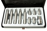 Set Biți Spline (Vielzahn) S2, M5-M12, 3/8&quot; cu Suport