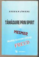 Stefan Zweig-Tamaduire prin spirit foto