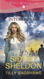 Sidney Sheldon - Ingerul intunericului