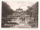 FA139 -Carte Postala- GERMANIA - Berlin, Brandenburger Tor, necirculata