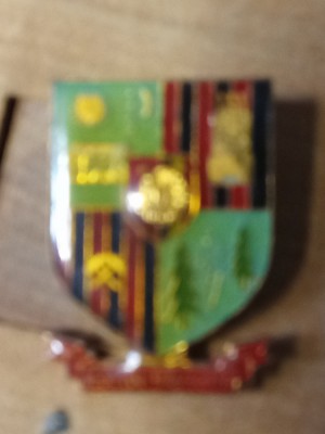 Insigne (5) Steme Bucuresti foto