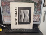 Album Arta Iosif Fekete Expoziție Retrospectivă Sculptură București Dalles 1978 Catalog Critic Mircea Țoca
