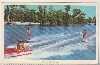 bnk cp USA - Schi nautic - necirculata foto