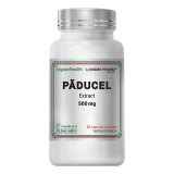 Paducel Extract 500mg, 60 capsule, Cosmopharm