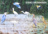 Starci din Romania