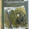 LA CURTEA PRINTULUI ERASM - IPOSTAZE ALE PROSTIEI - BREVIAR de SORIN BERBEC , 2008