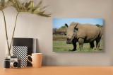 Tablou Canvas, "Rinocerul &icirc;n savana africană liniștită", Nu pot identifica persoane sau animale din imagini, dar aceasta este imaginea unui rinocer.,