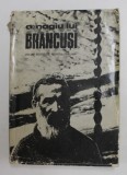 OMAGIU LUI BRANCUSI