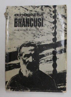 OMAGIU LUI BRANCUSI foto