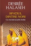 Spa&Aring;&pound;iul dintre nori. Cu rucsacul prin India - Paperback brosat - Desiree Halaseh - Polirom