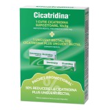 Pachet Cicatridina, 10 supozitoare + Unguent Rectal Cicatridina Plus, 30g, Naturpharma