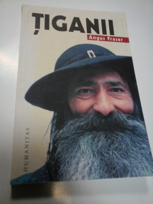 TIGANII - ANGUS FRASER foto