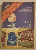 Viorica Mircea - Luna in oglinda apei