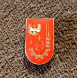 Insigna - " PIONIER TEHNICIAN " Clasa I - a