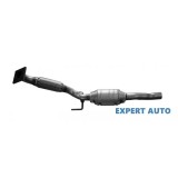 Catalizator Volkswagen Polo (2001-2012)[9N_]
