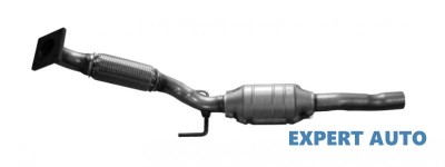 Catalizator Skoda Fabia 1(1999-2008)[6Y2] foto