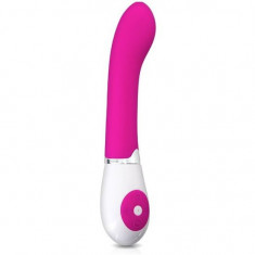 Vibrator Cu Control Vocal Daniel, Roz, 19.5 cm