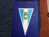 Fanion CSU Stiinta Bacau